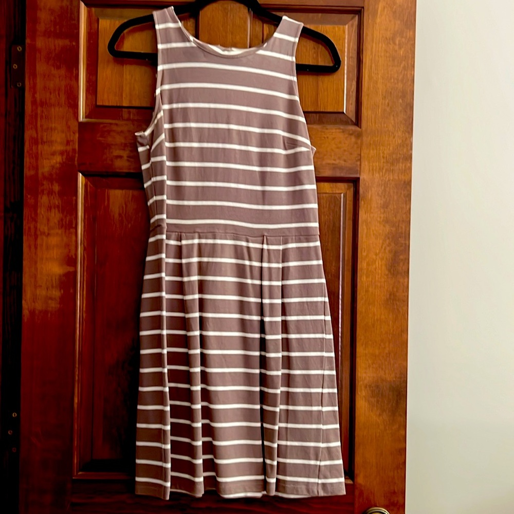 Loft Summer Knit Dress